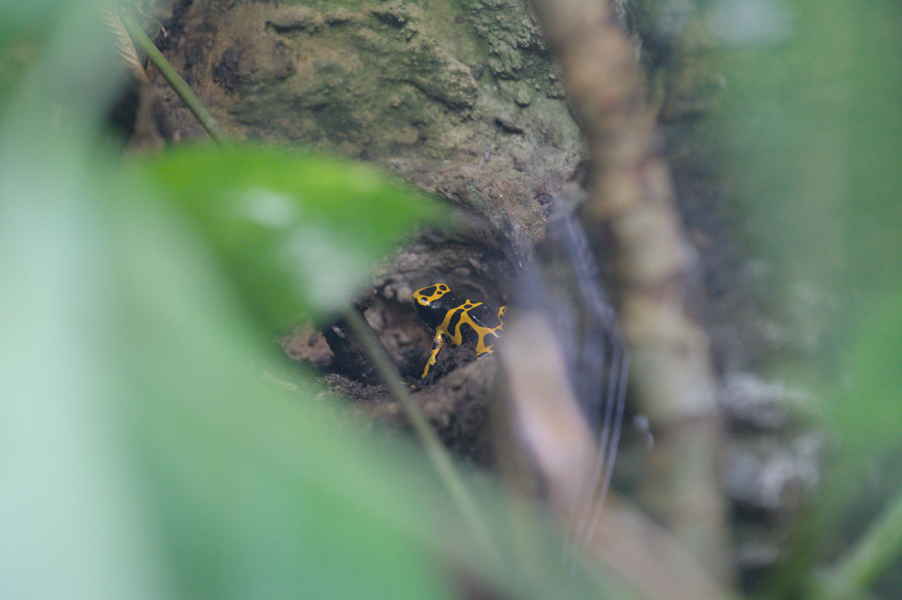 2025/10/12 - zoo/DSC_0162.jpg